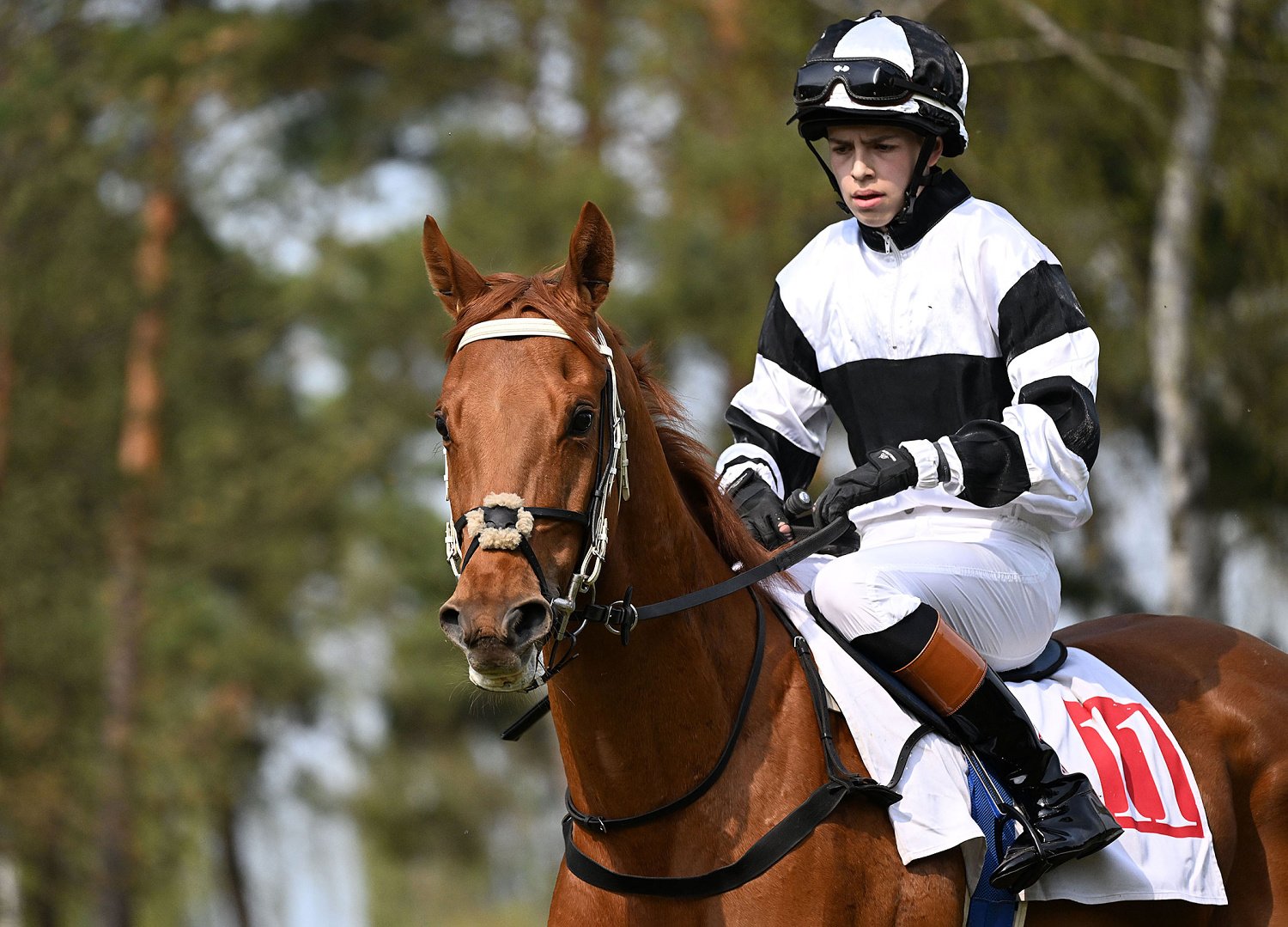 S ryzákem Niwallem trenéra Jiřího Michala (Lysá nad Labem, 1. 5. 2022)
