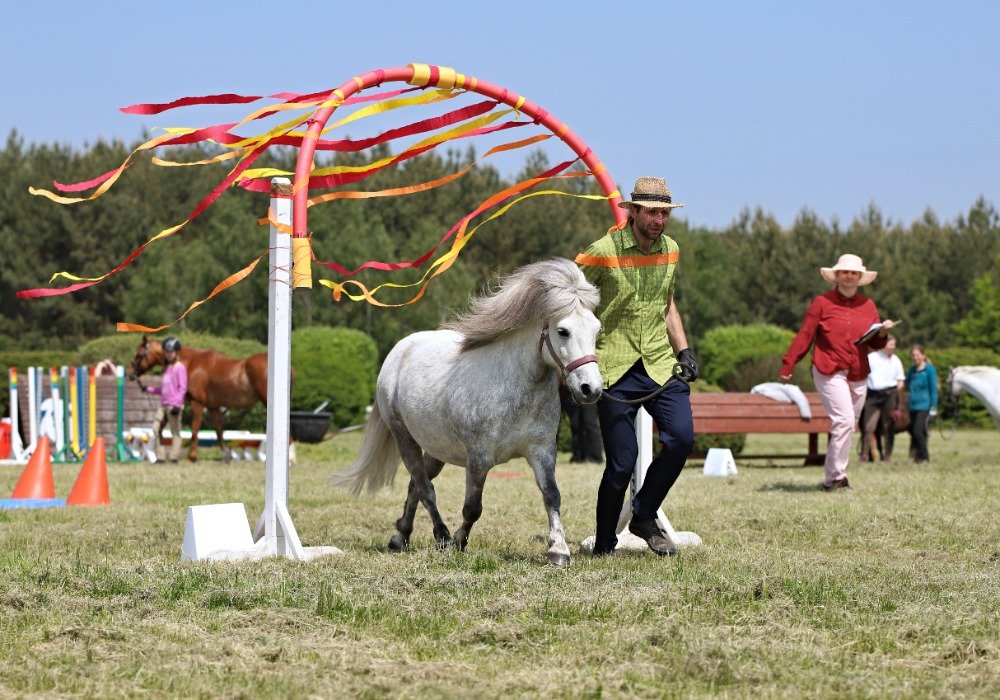 Trail - sobota - David Lukeš a Lille Rosendals Merlin