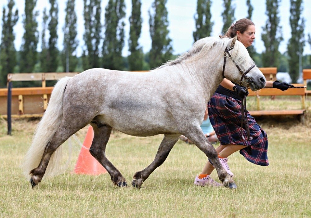 MM - Lille Rosendals Matteo