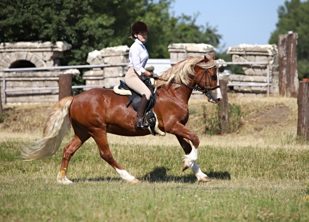 OR - Kristýna Kerberová - Pretoria Mawerick