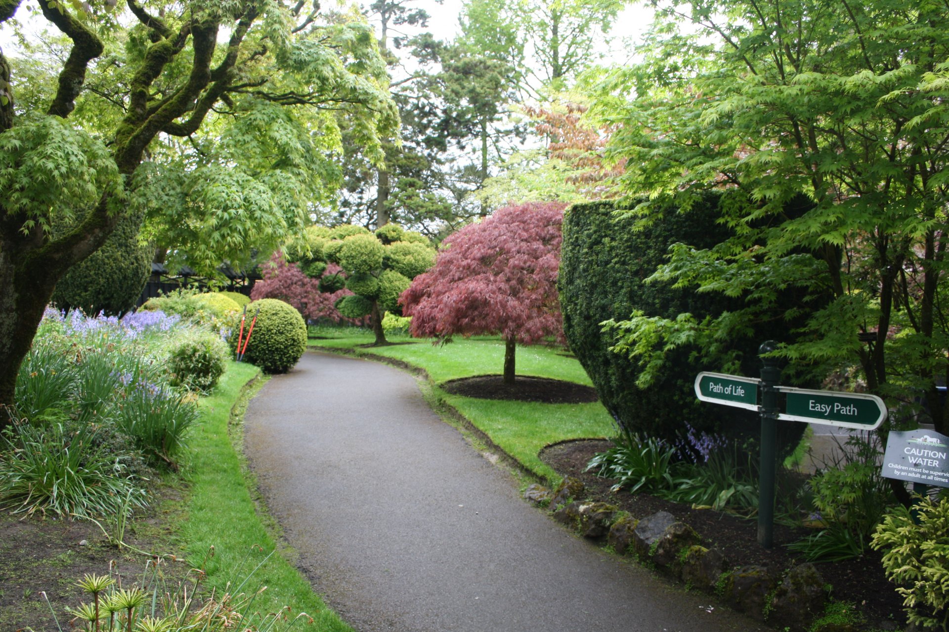  Krásná japonská zahrada v NH KIldare, můžeme si vybrat cestu jednoduchou nebo složitou