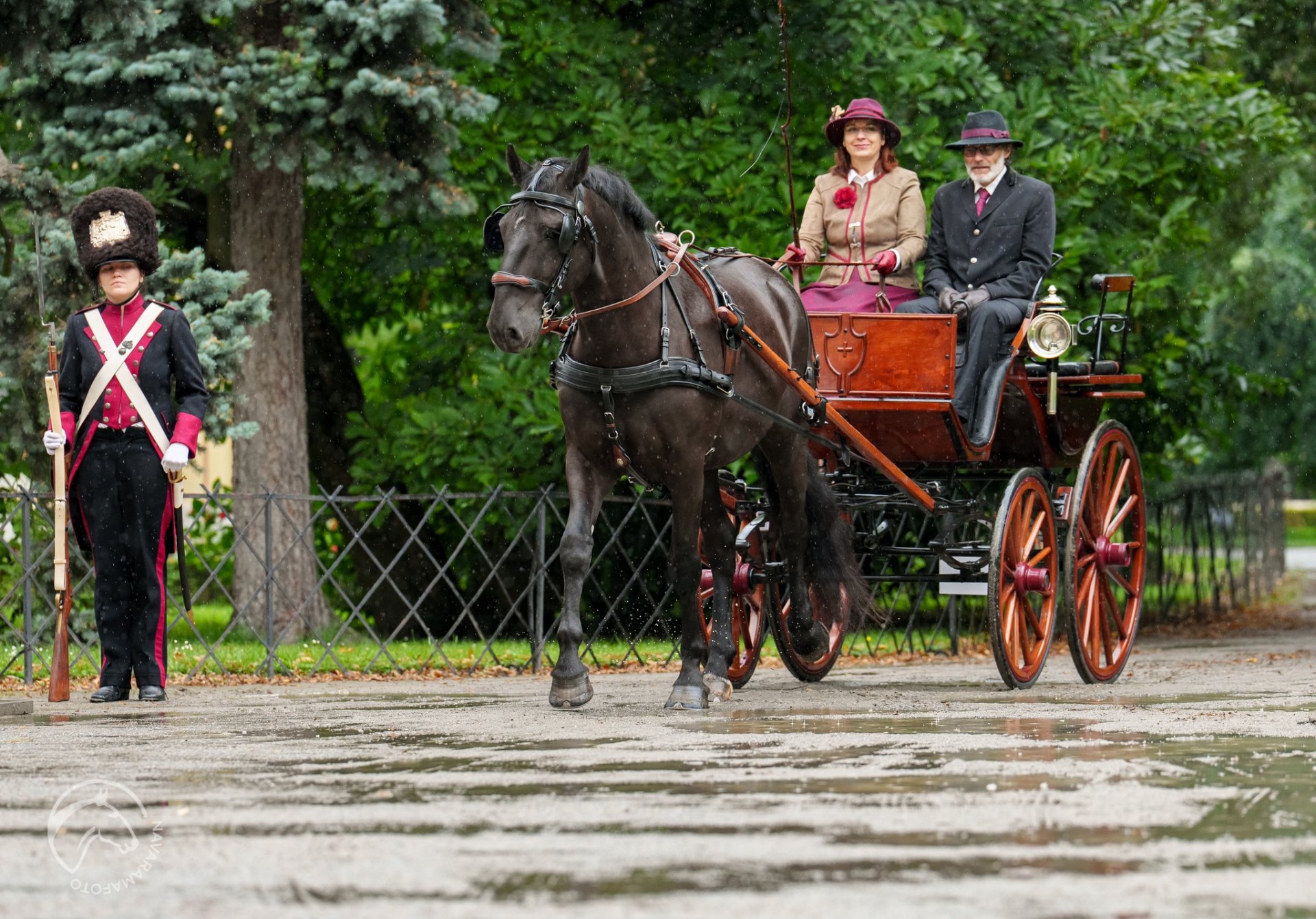 Yvona Zámorská