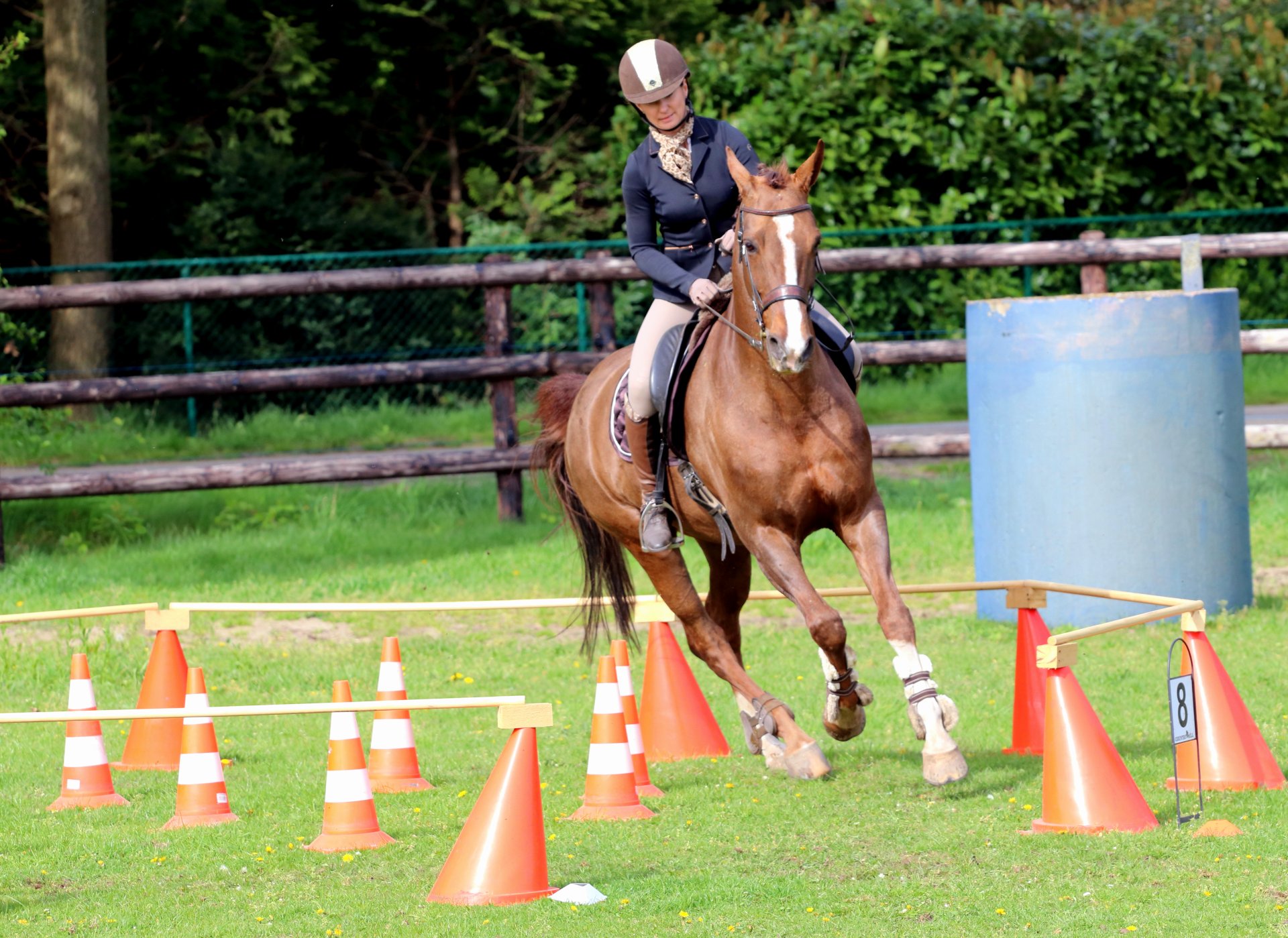 Ze závodů ve working equitation