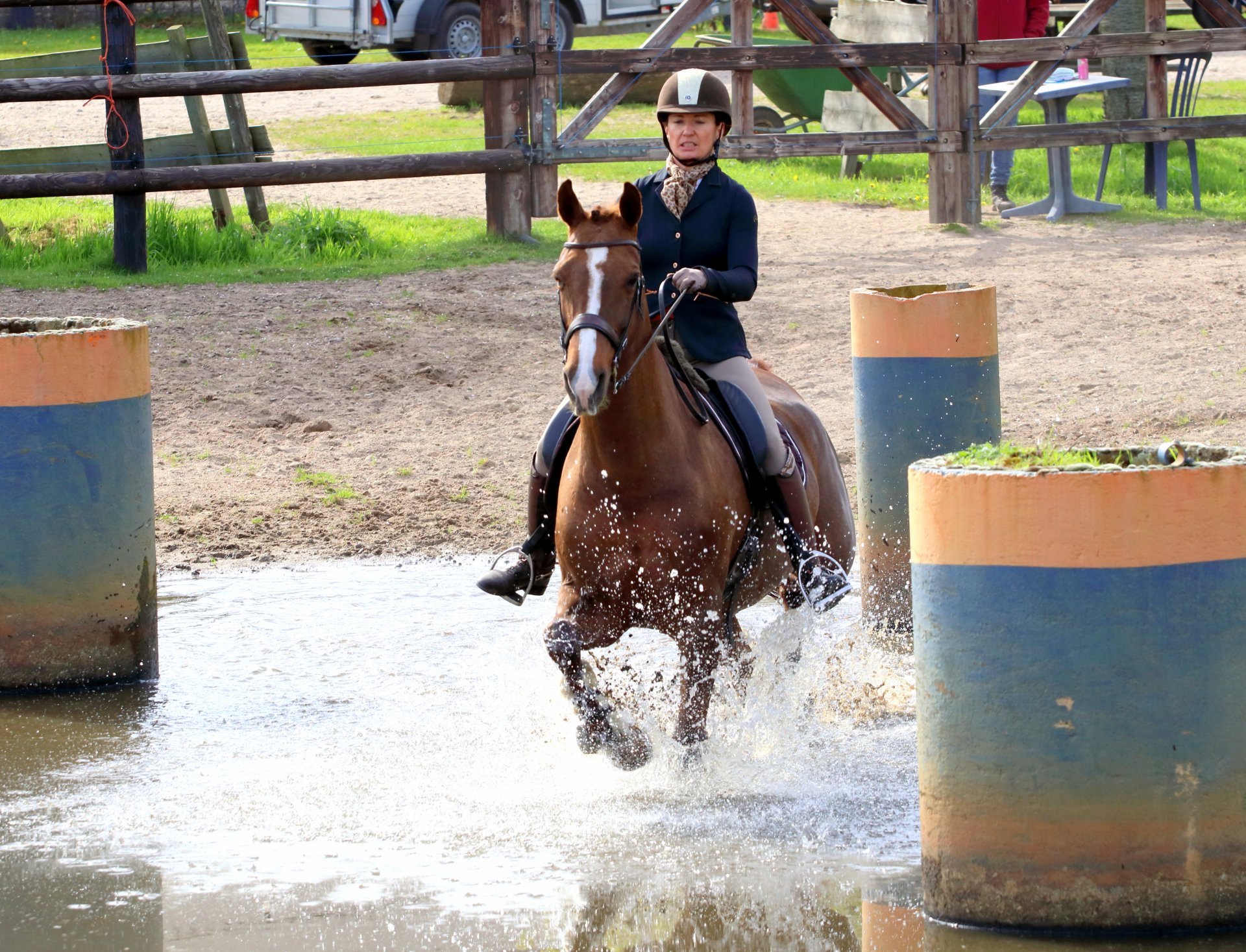 Ze závodů ve working equitation