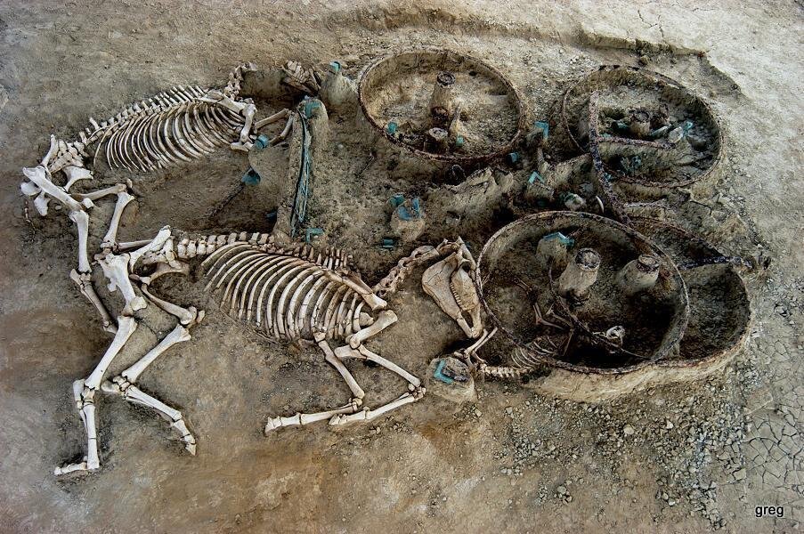 Pohřeb koní s vozem a veškerým vybavením na lokalitě MikriDoxipara v řecké Thrákii. Pohřeb byl datován do 2. století n. l.