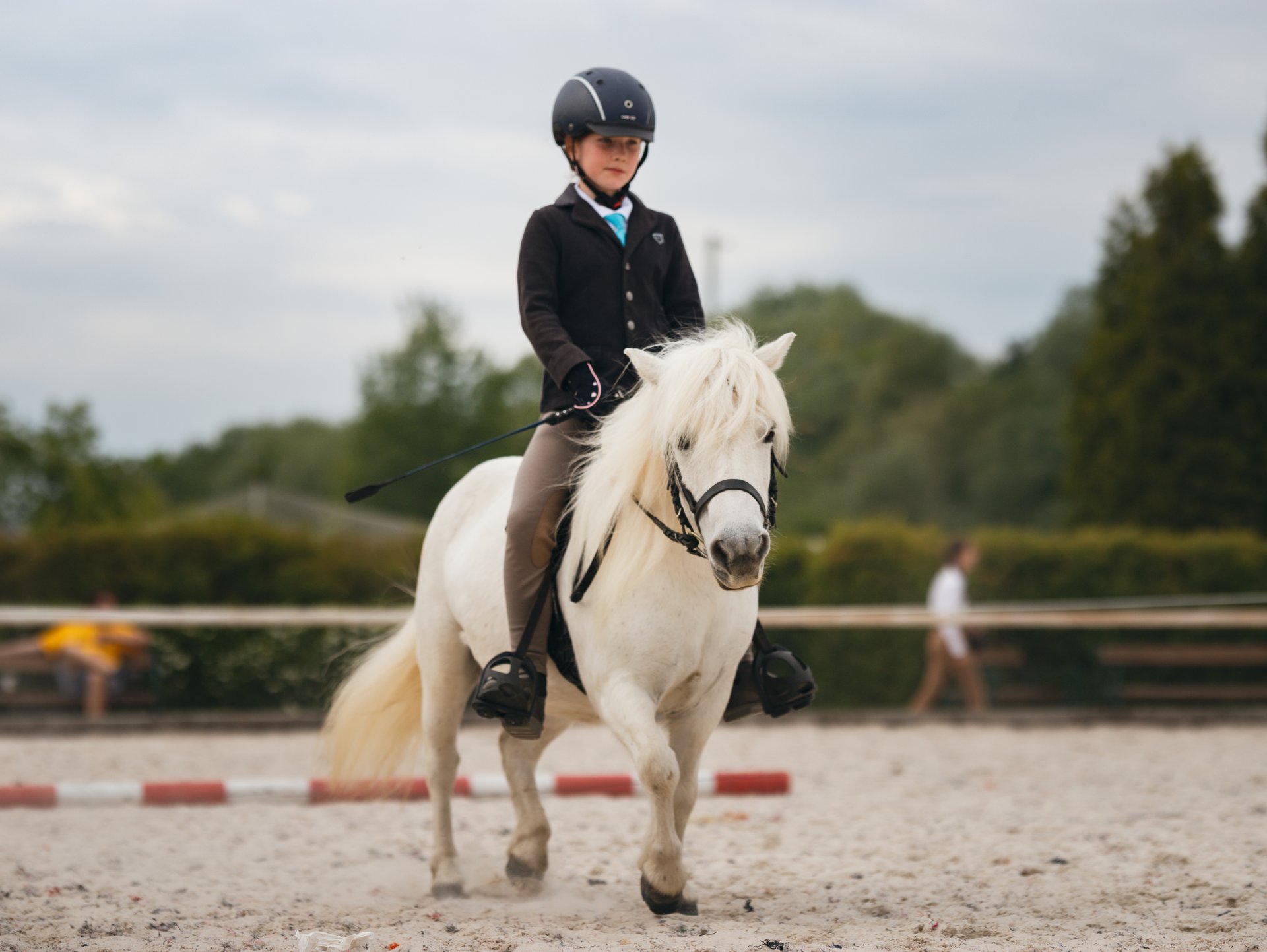 Zakladatelka mého chovu klisna Unity Domino. First Ridden Hlučín a Zuzanka Daňková