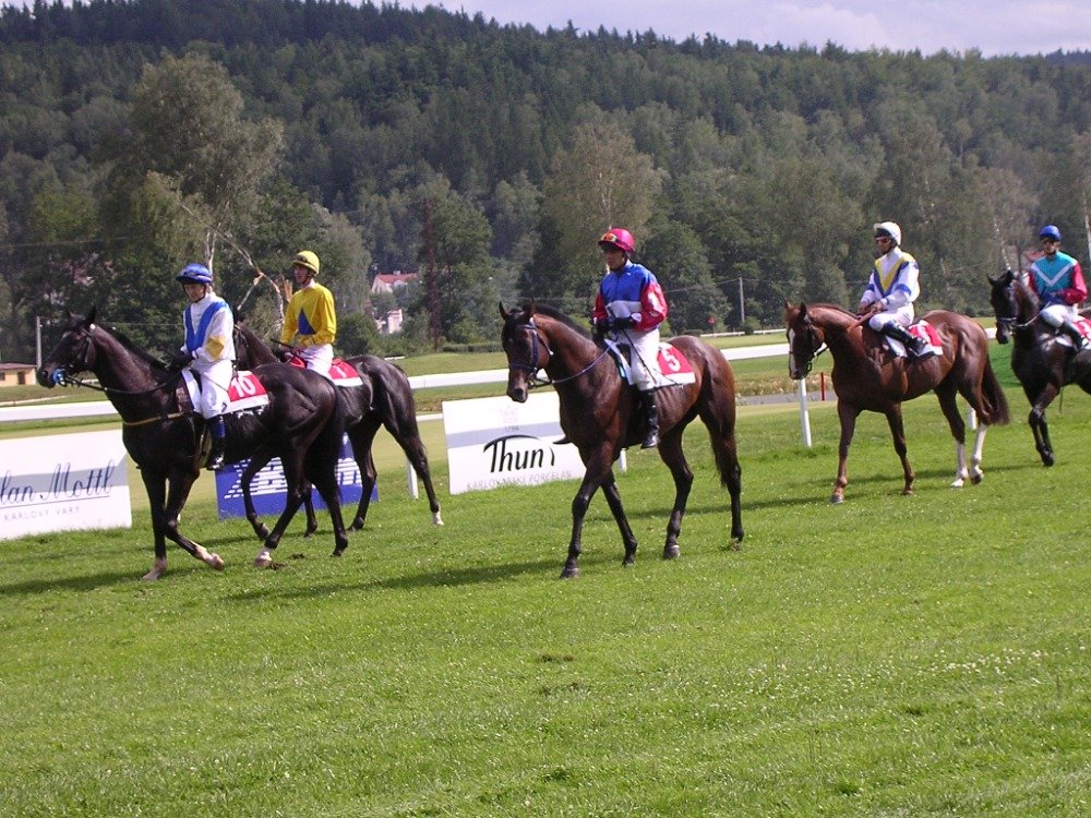 Vítězové derby Poderoso (č. 5) a Darsalam (č. 6) v Karlových Varech v roce 2005