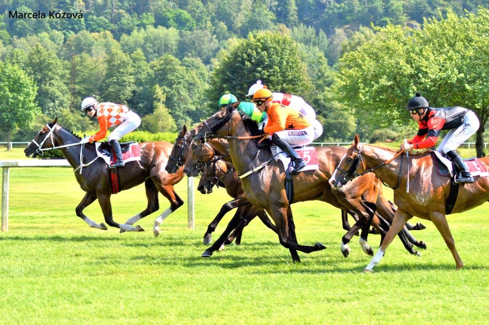 95. Cena Města Karlovy Vary odstartována