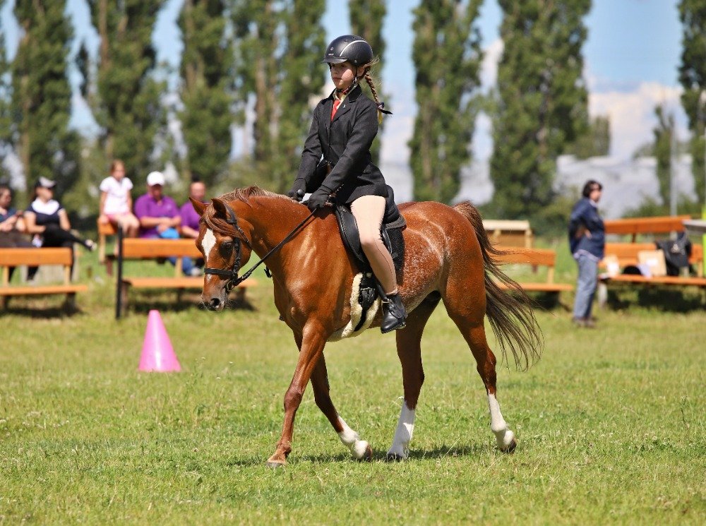 FR 2 - Miluška Černá - Linde Hoeve's Martina