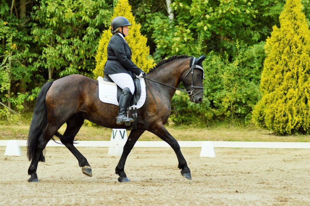 Vlasta Nejdlová a Carmen 41 přijely z Pošumaví