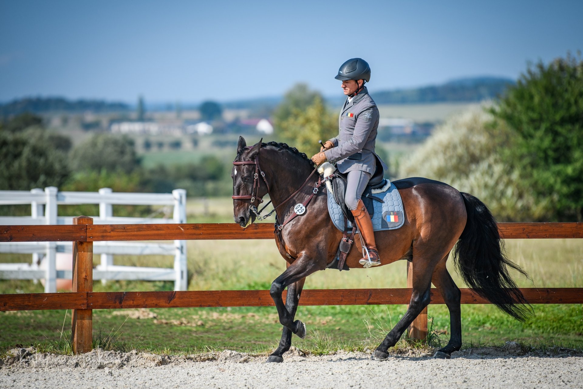 Mihai Maldea A Benjamim da Caniceira (ROM)