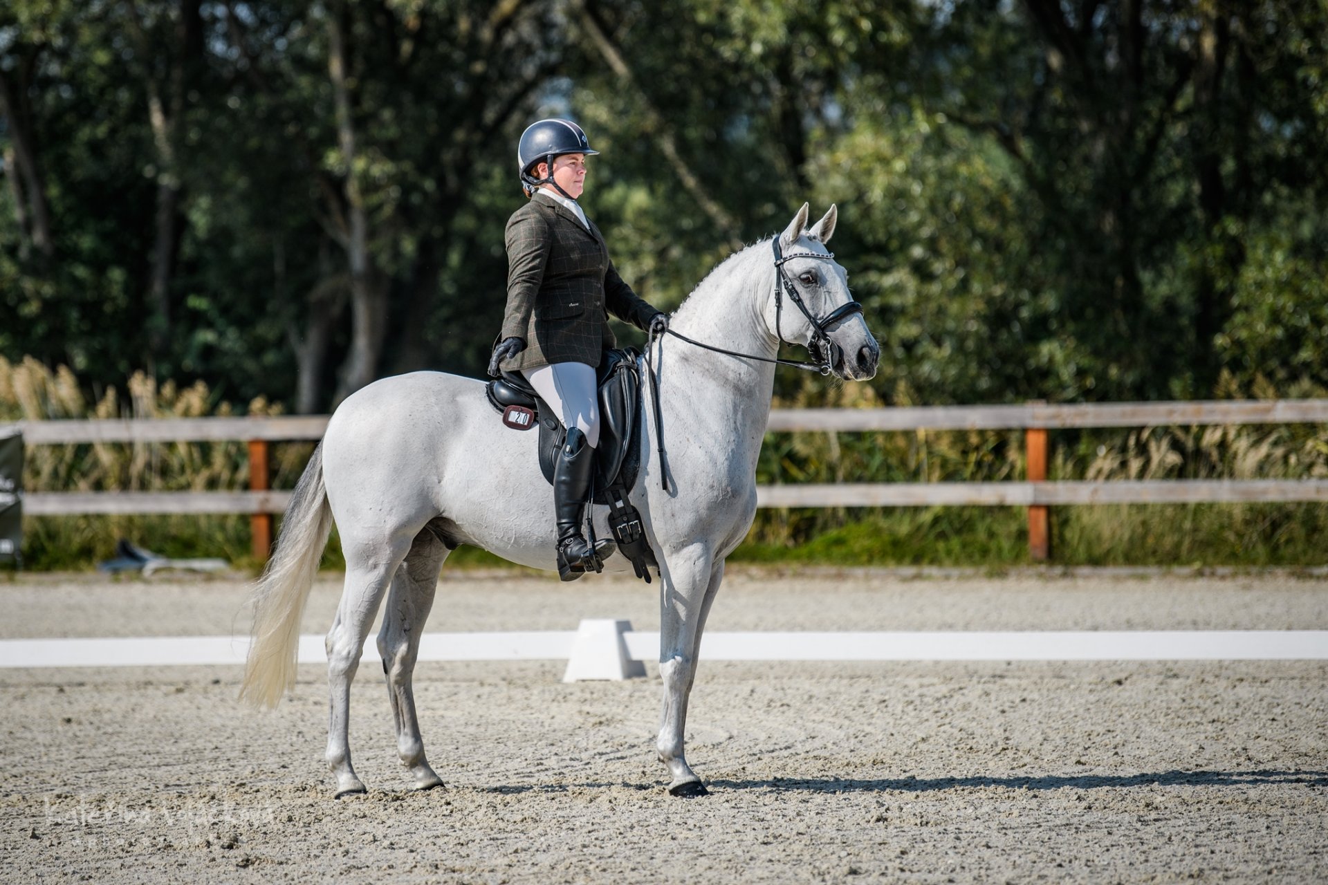 Lynne Macleod a Hermes (GBR)