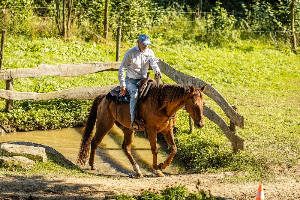 Kategorie Bridleless měla za vítěze muže, a sice všestranného Silvestra Maluška
s koněm Last Big Sheik