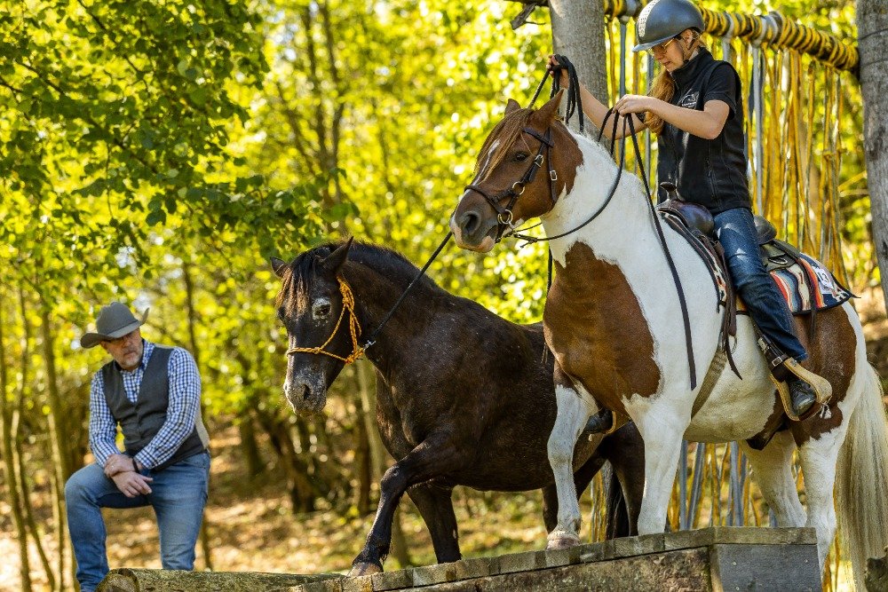 Markéta Rysová s Rýžovníkem jsou letošní mistři Working Race Junior a na ruce
s klisnou Chance získali další titul ve třídě Tandem