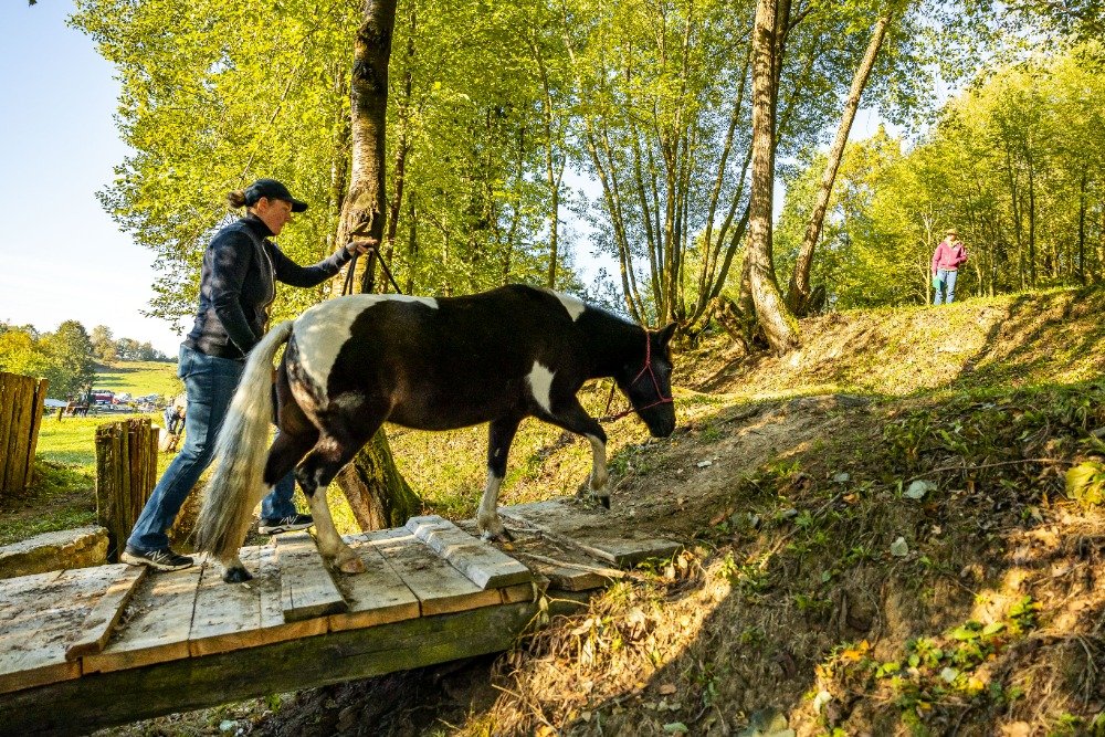 Kateřina Šufnerová a Jitra při vyslání koně v MT ruka, stejná dvojice zvítězila i ve
třídě MT Pony