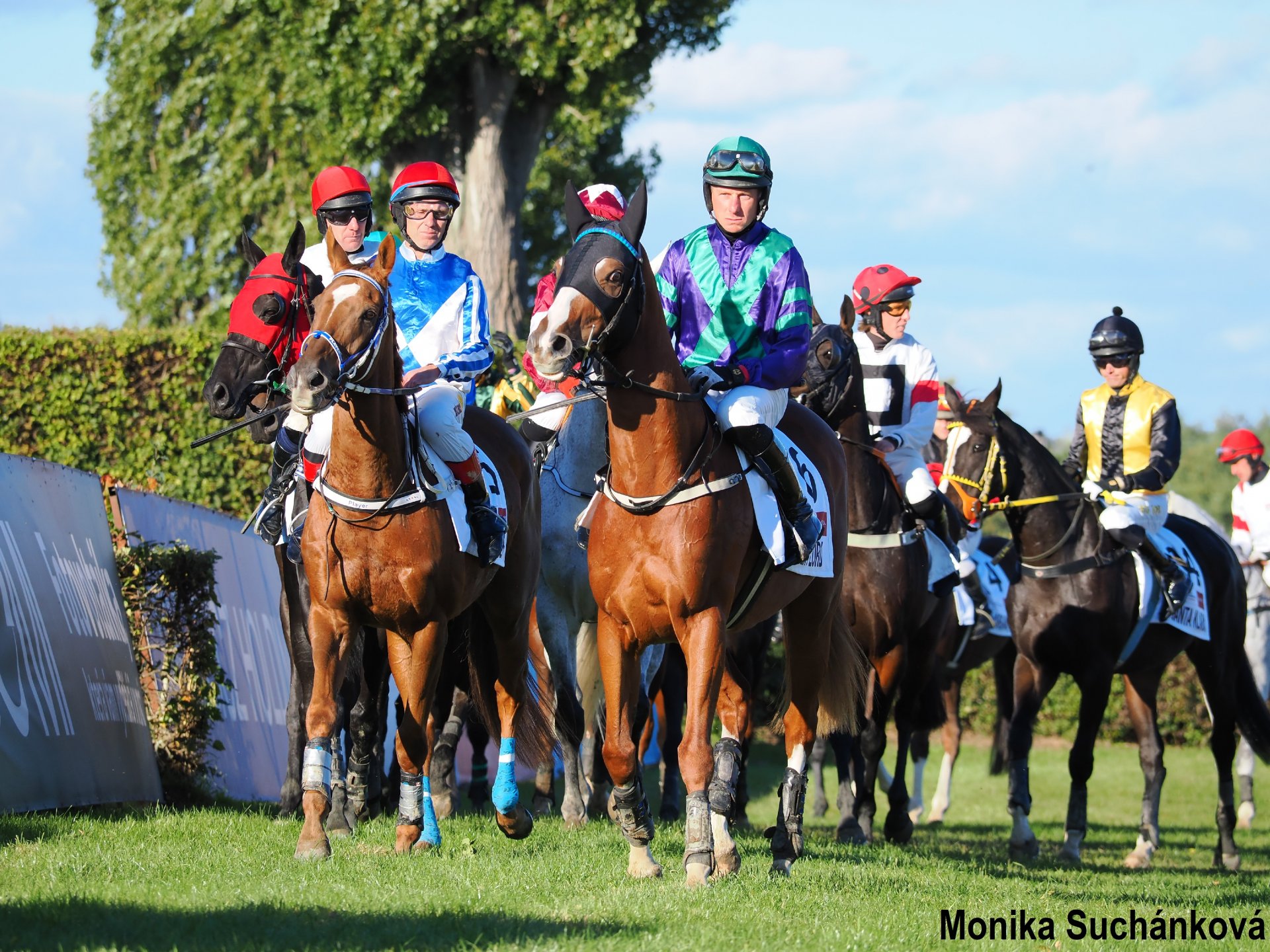 Před Velkou pardubickou