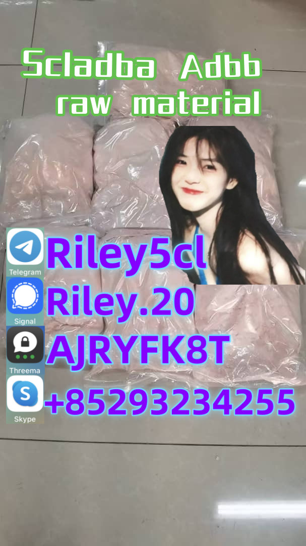 5cladba Company Hot Product Fast Delivery at Best Price in China Equichannel