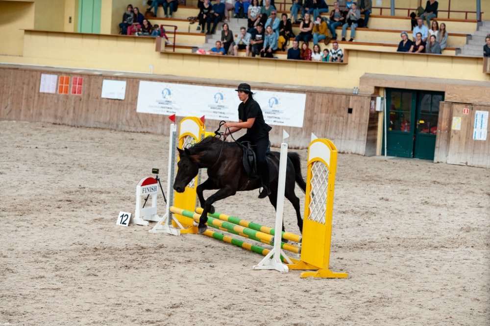 Mezinárodní mistrovství Polska v jízdě bez uzdečky 2019 - LIBERTY TRAIL - 1. místo