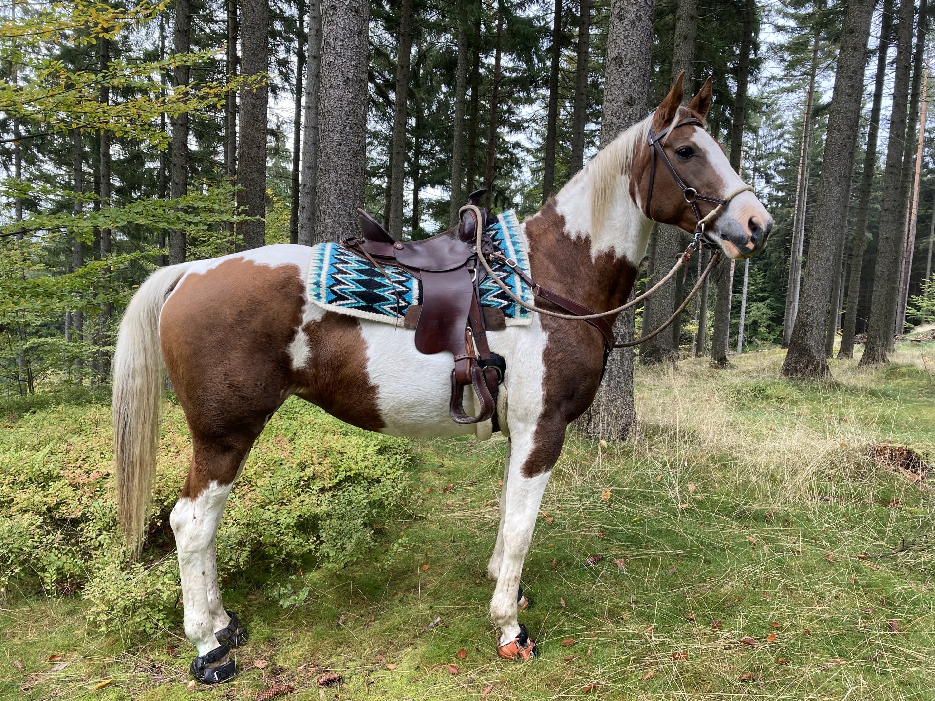 Ronja s botami značky Renegade