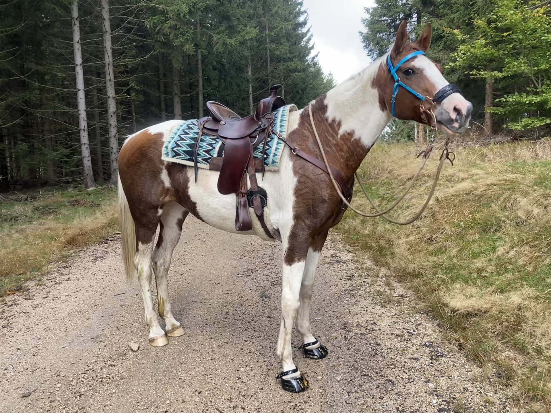 Ronja ve Scoot Boot