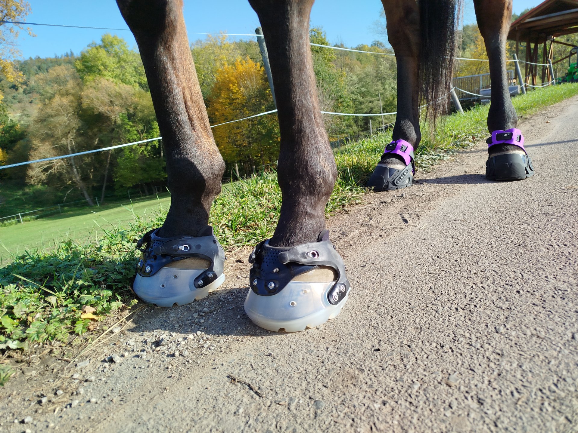 Saxík - boty Floating a Flex Boots