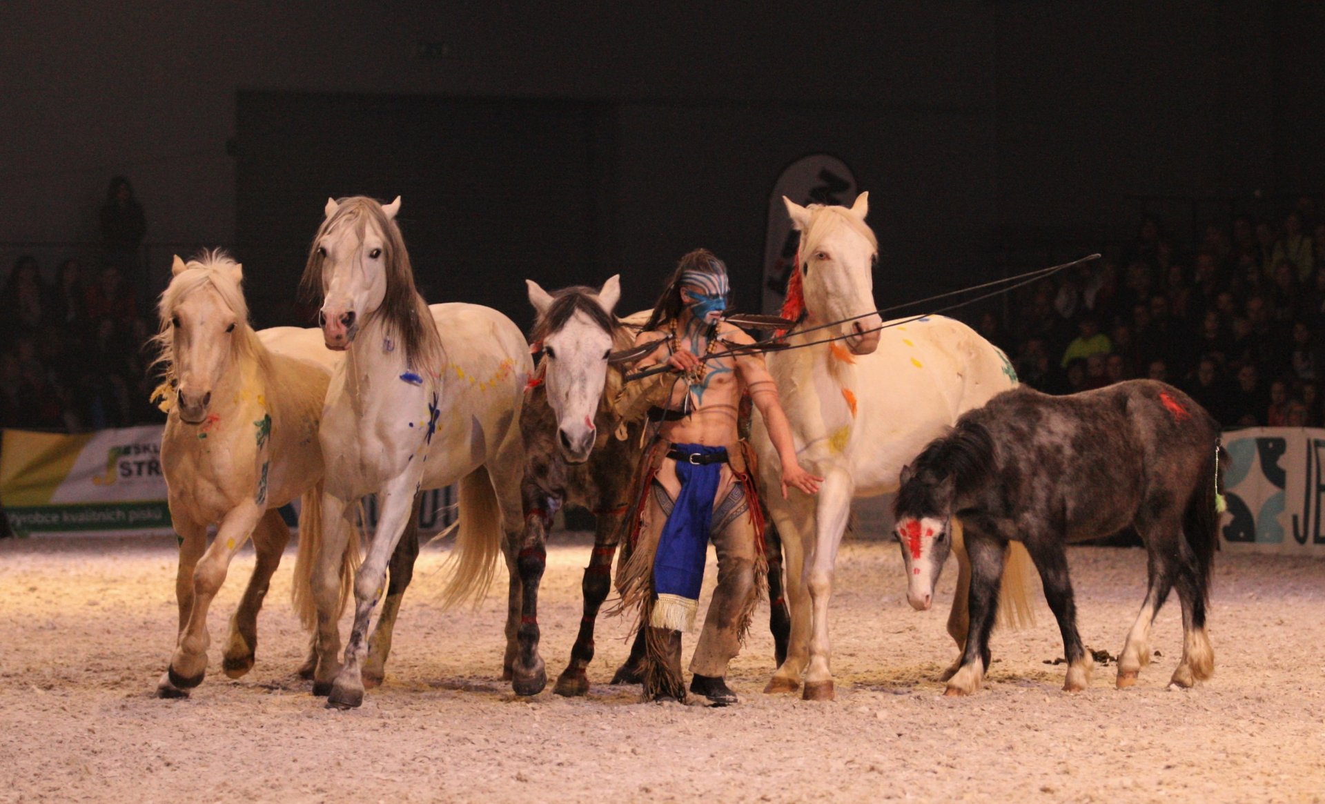 Velkolepá “Fantasy Show”, která byla jedním z vrcholů programu veletrhu For Horse 2019