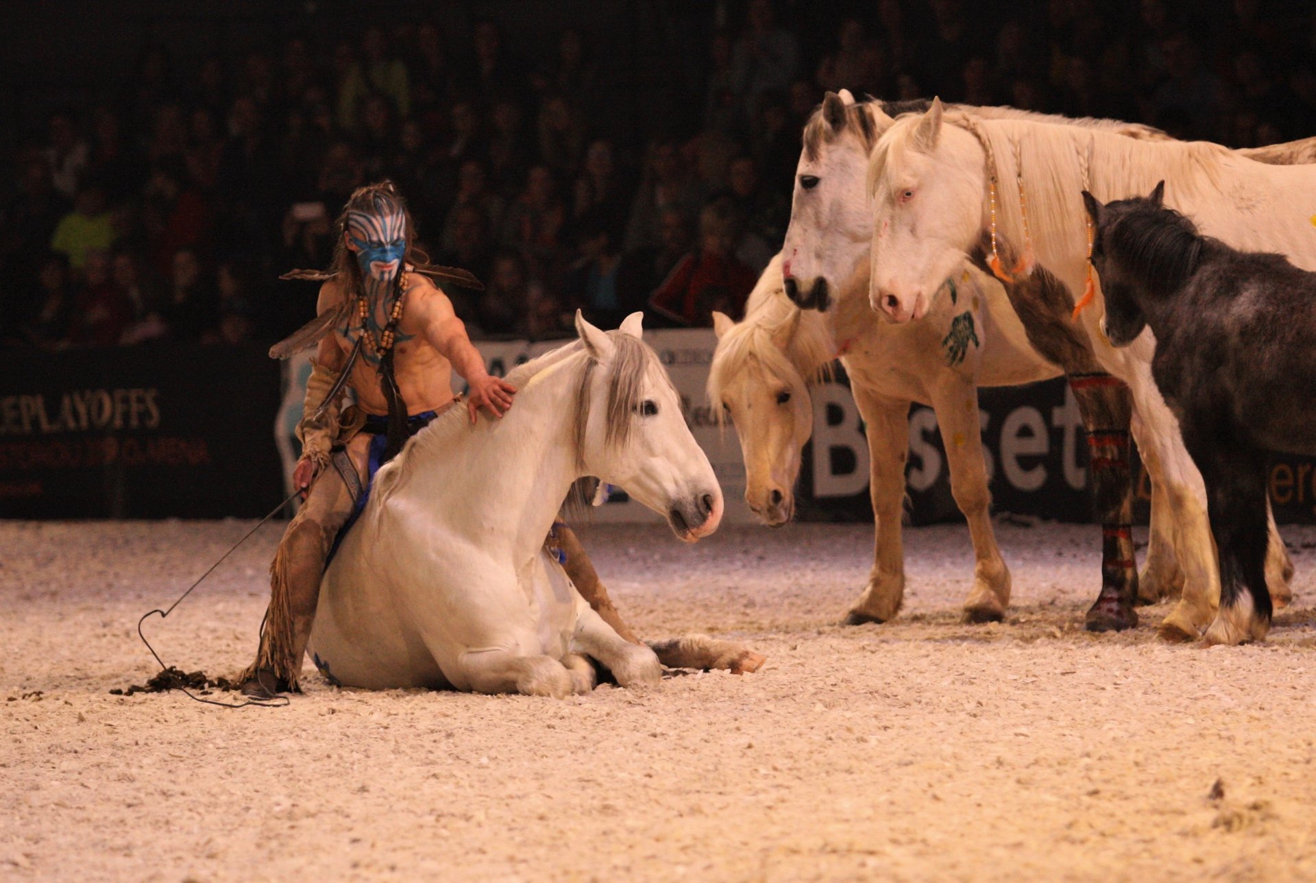 Velkolepá “Fantasy Show”, která byla jedním z vrcholů programu veletrhu For Horse 2019