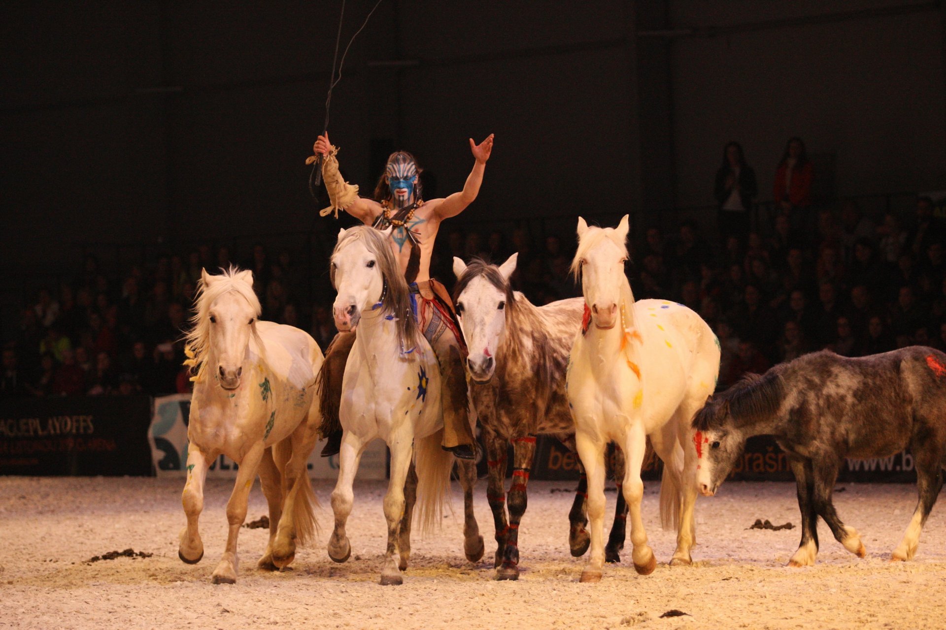 Velkolepá “Fantasy Show”, která byla jedním z vrcholů programu veletrhu For Horse 2019