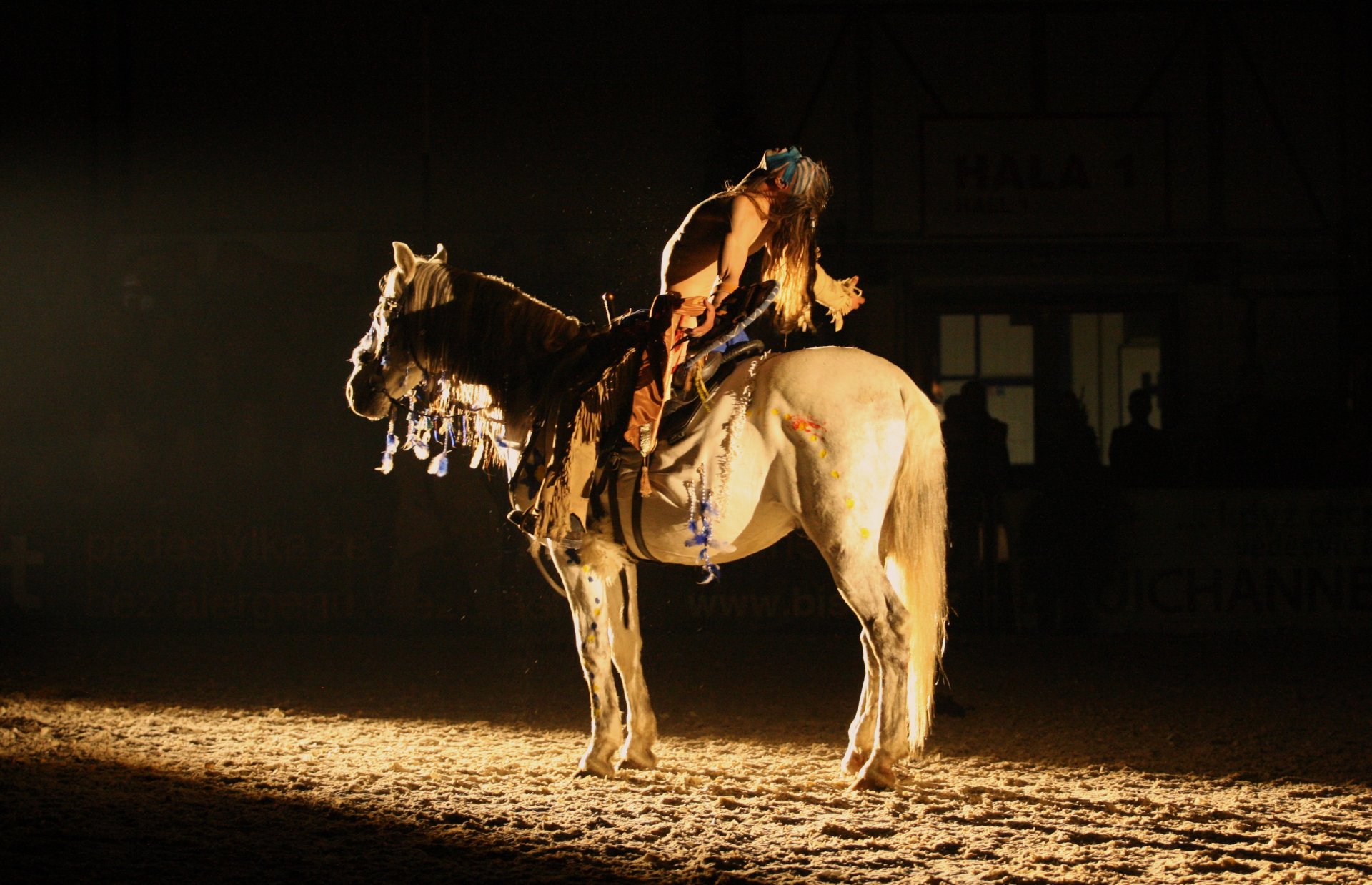 Velkolepá “Fantasy Show”, která byla jedním z vrcholů programu veletrhu For Horse 2019